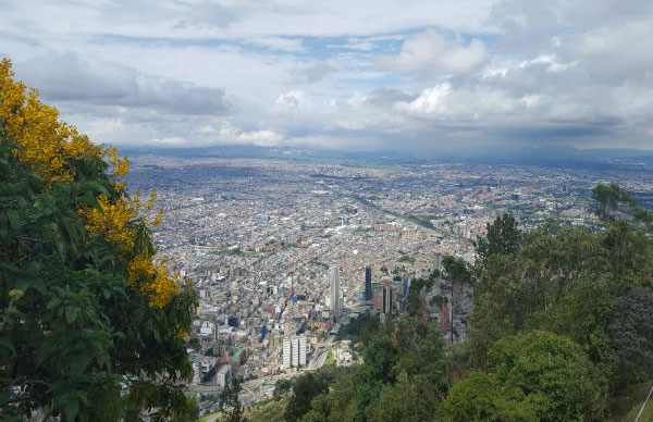 Bogota security 